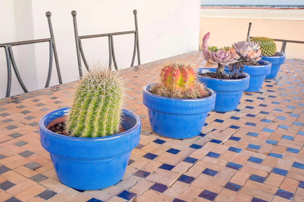 Atico En El Centro Con Terraza Apartment Cadiz